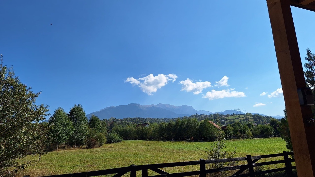 Photo of Outdoor in Bran