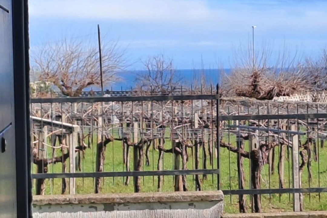 Photo of Outdoor in Villalfonsina