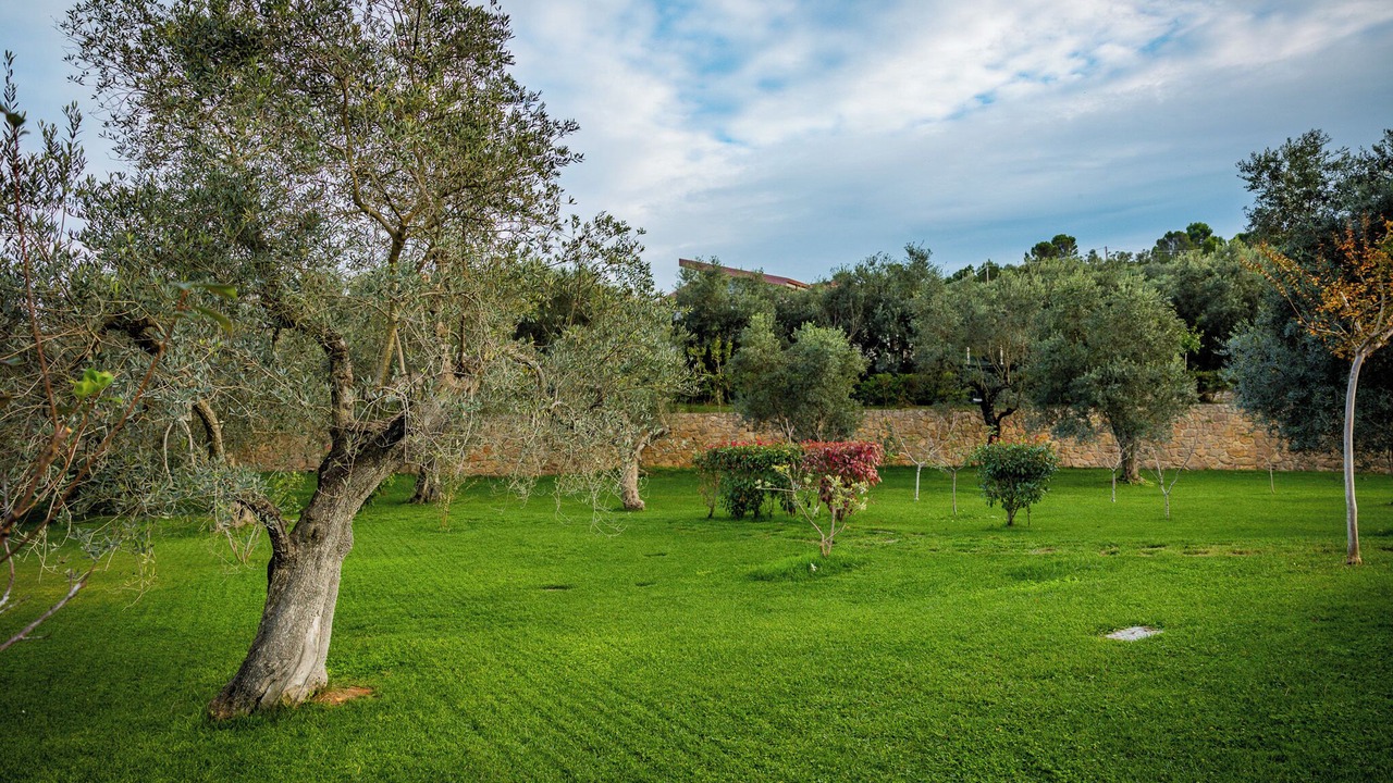 Photo of Outdoor in Itri