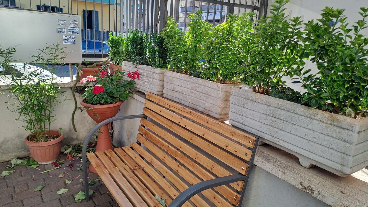 Photo of Outdoor in Prenestino-Centocelle