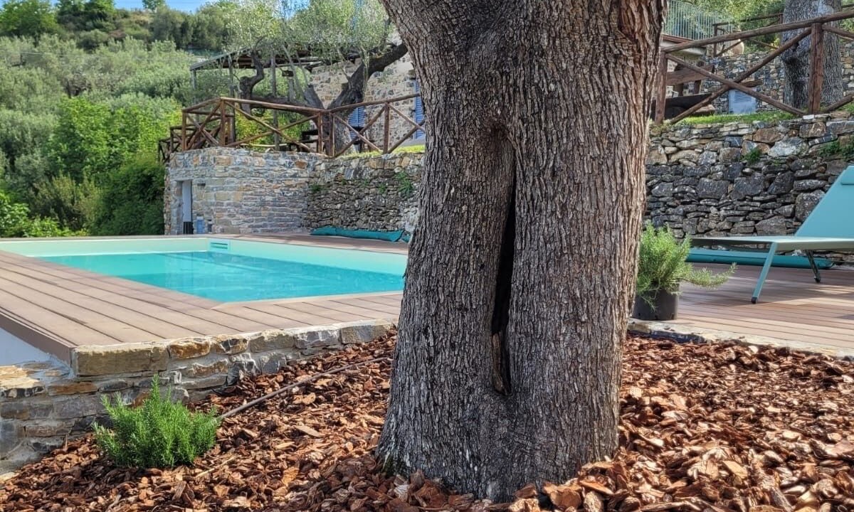 Photo of Outdoor in Ascea