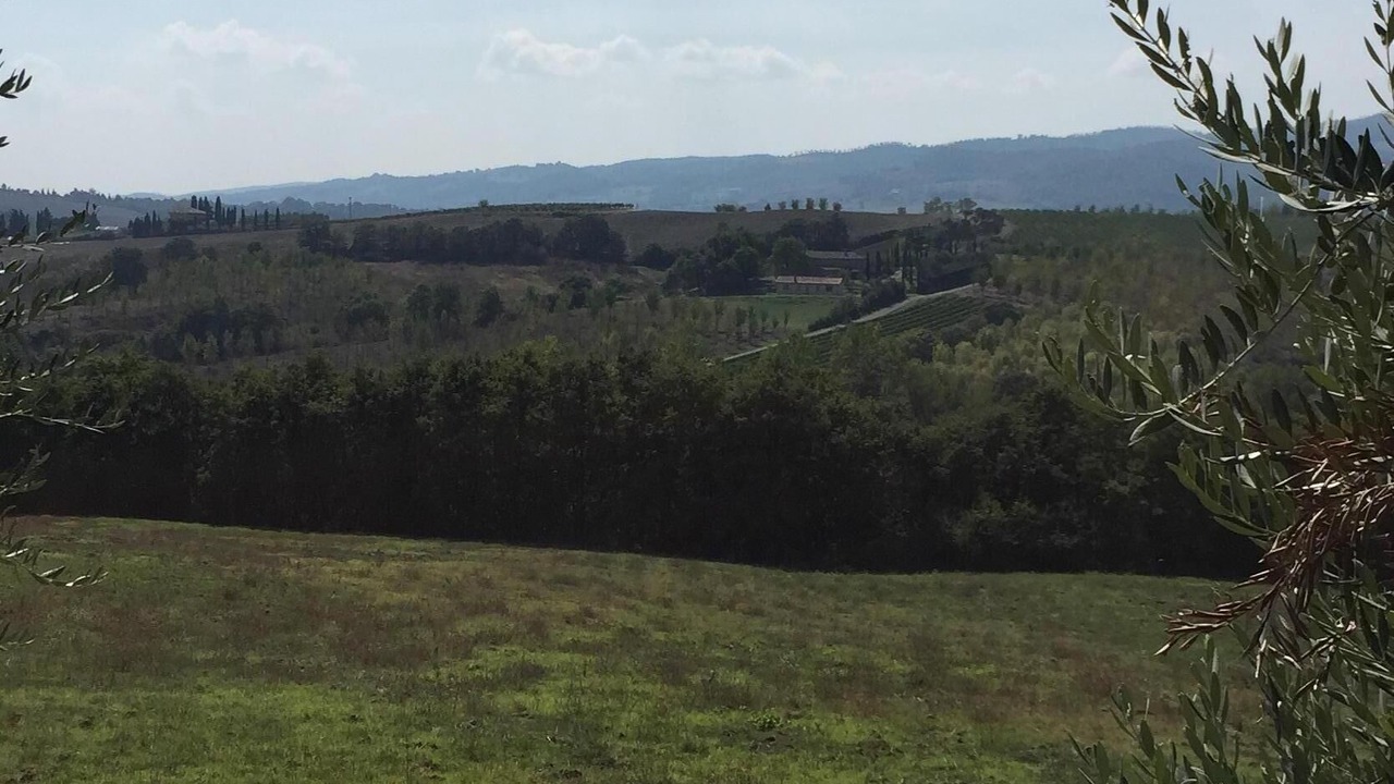 Photo of Outdoor in Cetona