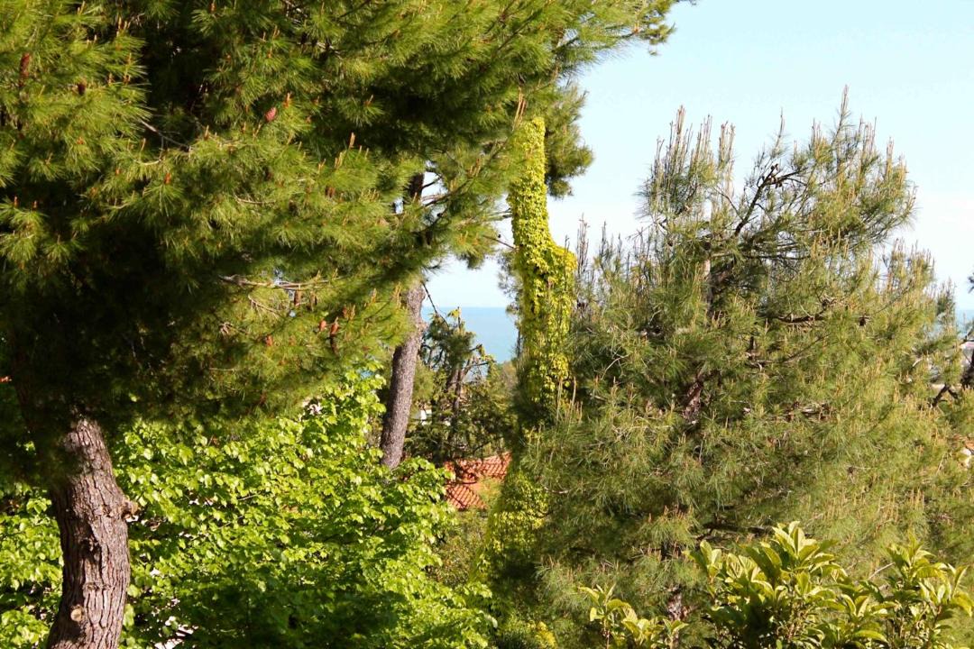 Photo of Outdoor in Villaggio Taunus