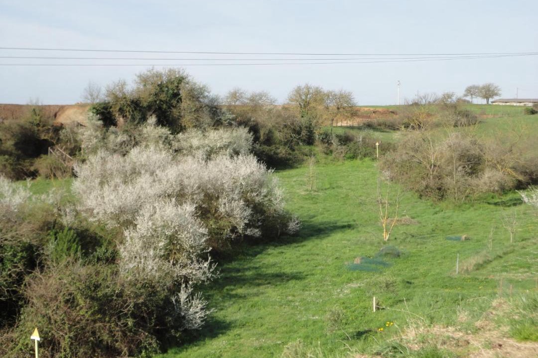 Photo of Outdoor in Lake Bracciano