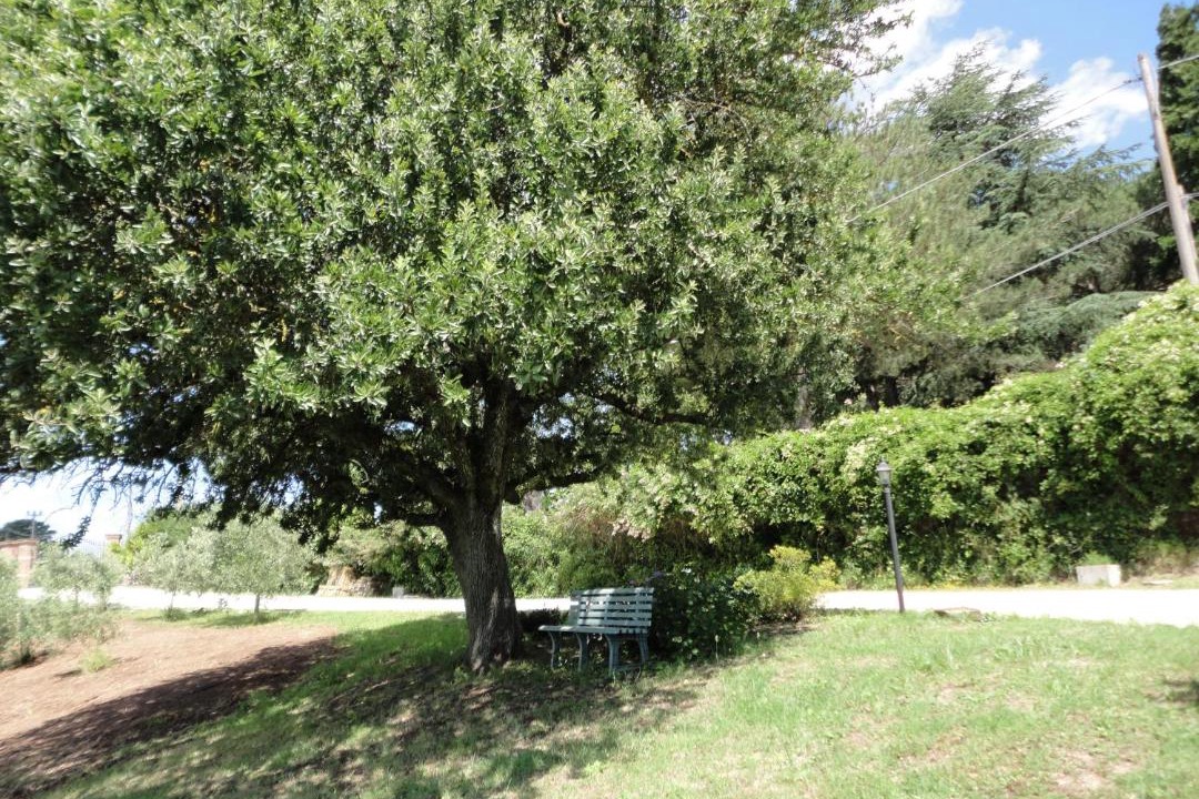 Photo of Outdoor in Lake Bracciano