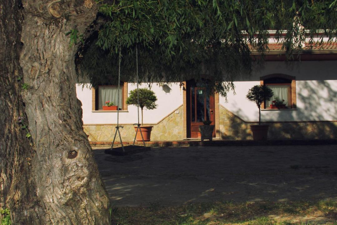 Photo of Others in Baselice