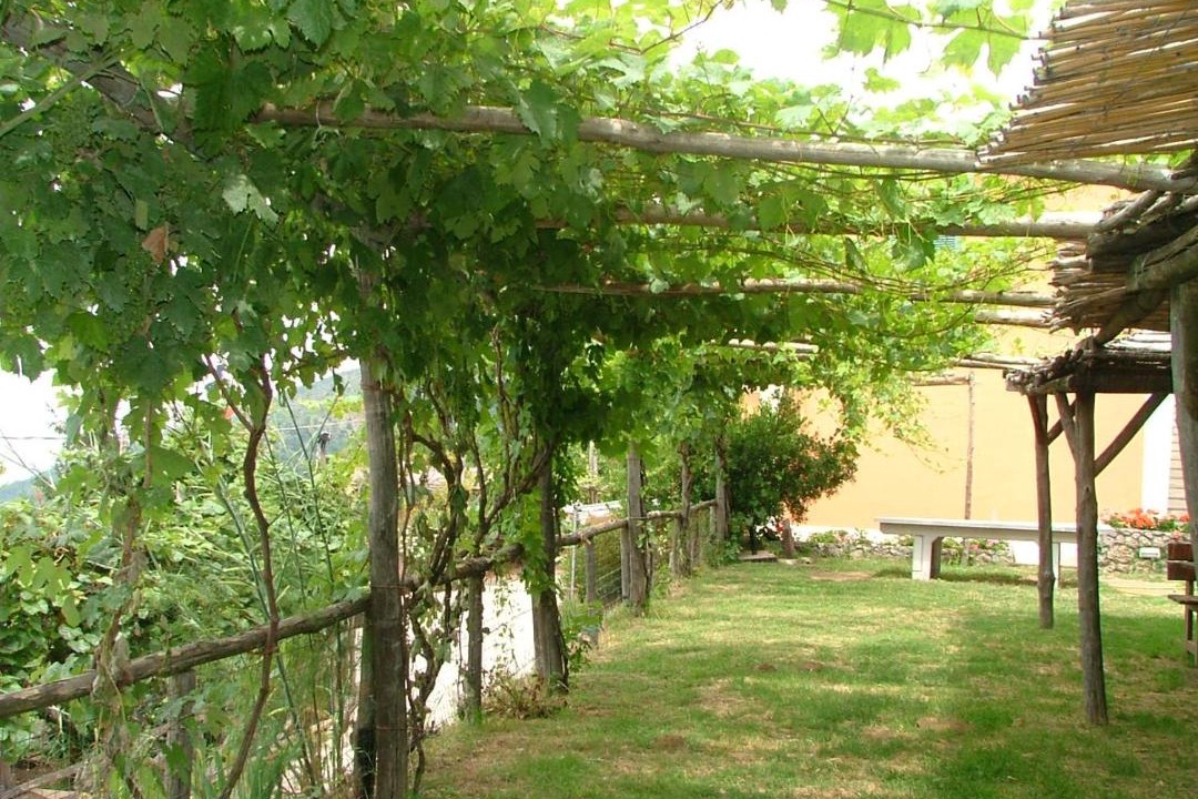 Photo of Others in Moiano