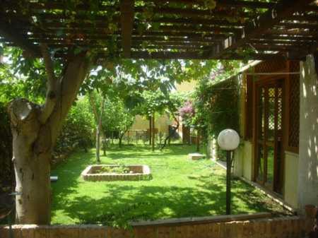 Photo of Others in Cassia