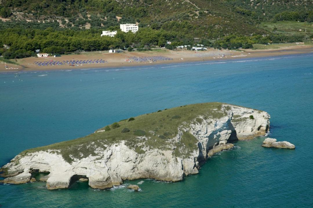 Photo of Others in Vieste