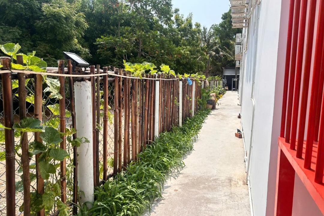 Photo of Others in Ninh Hai
