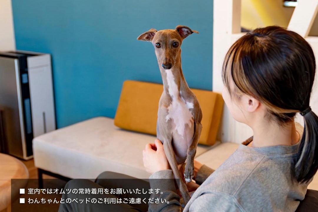 Photo of Others in Sakai
