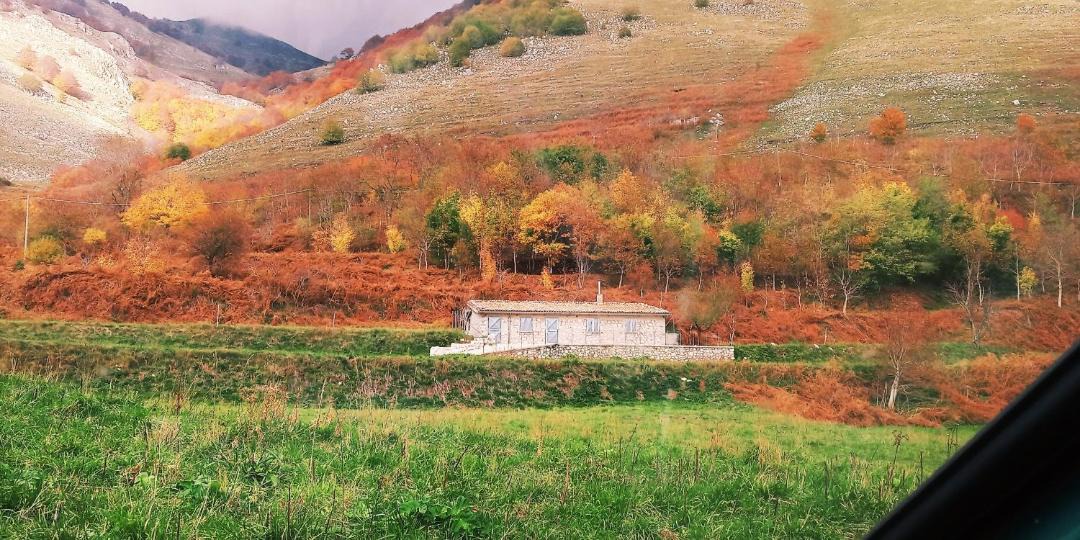 Photo of Others in San Gregorio Matese