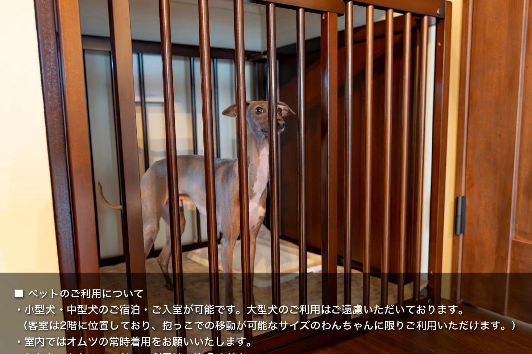 Photo of Others in Sakai