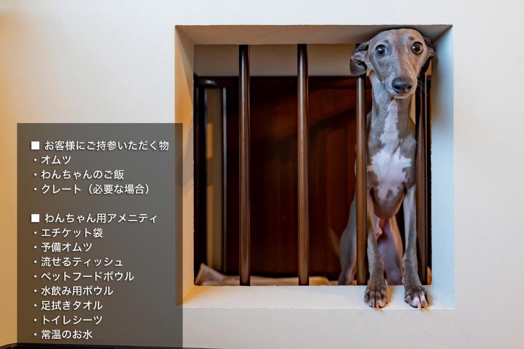 Photo of Others in Sakai