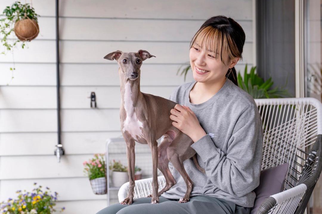 Photo of Others in Sakai