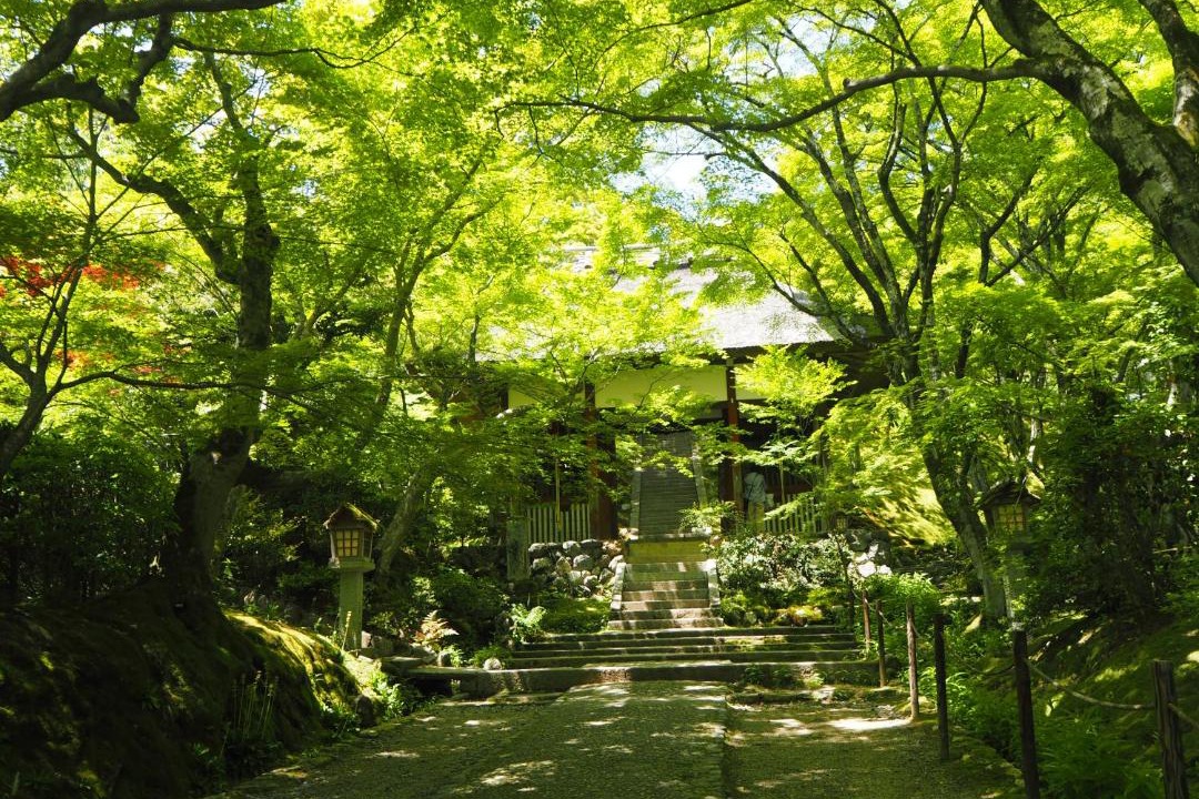 Photo of Others in Arashiyama