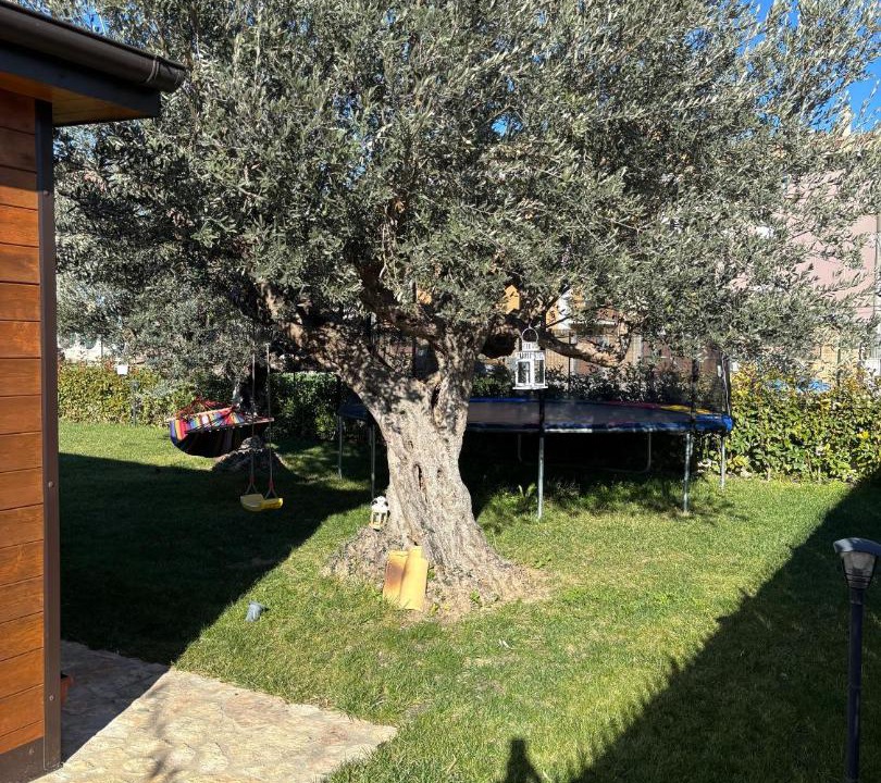 Photo of Others in Spoltore
