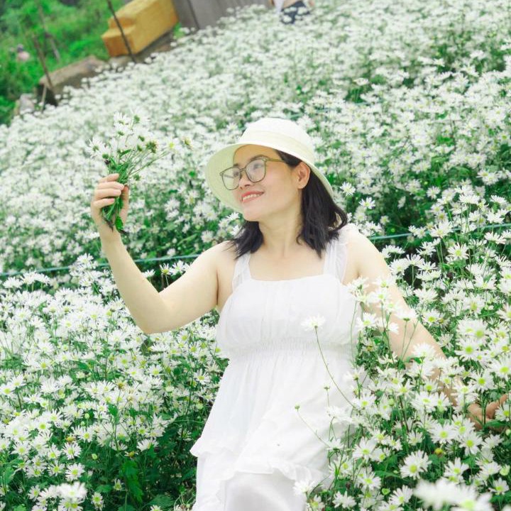 Photo of Others in Cam Le