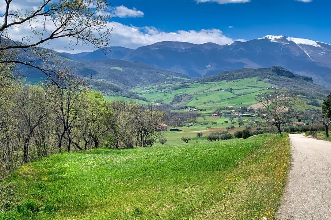Photo of Others in Montebello di Bertona