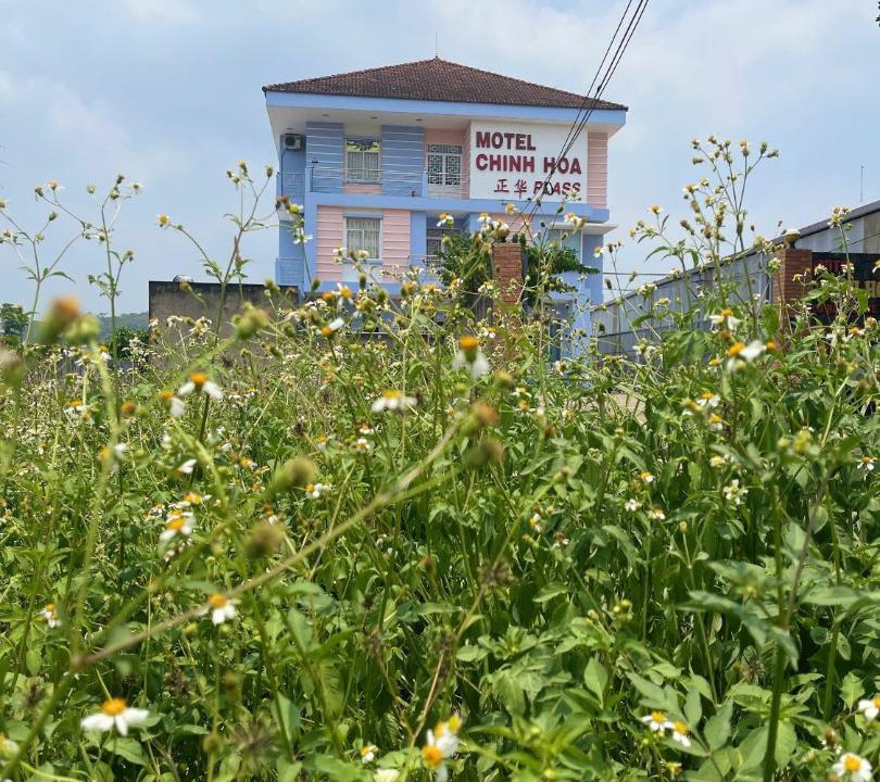Photo of Others in Dinh Quan