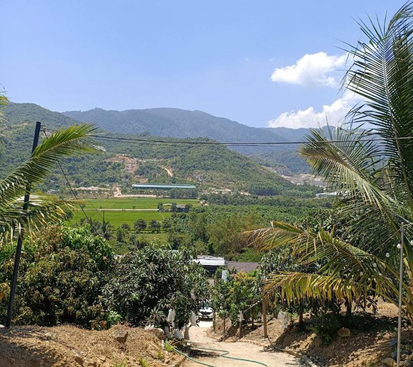 Photo of Others in Dien Khanh