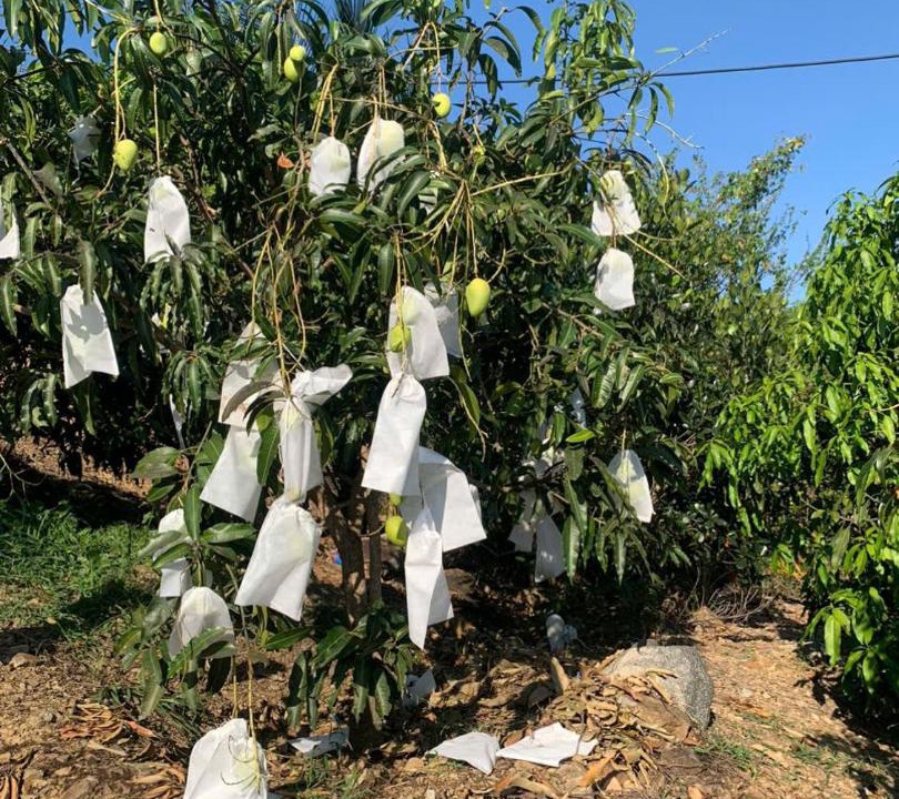 Photo of Others in Dien Khanh