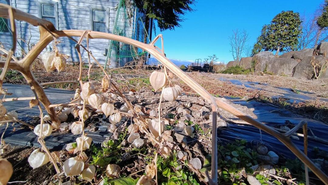 Photo of Outdoor in Showa-mura