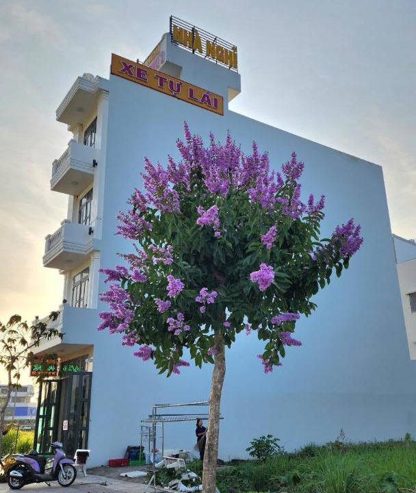 Photo of Others in Vi Thanh