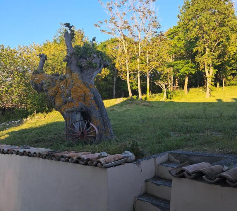 Photo of Others in Torricella Peligna