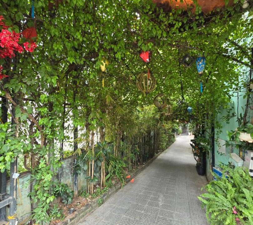 Photo of Outdoor in Nhat Tan