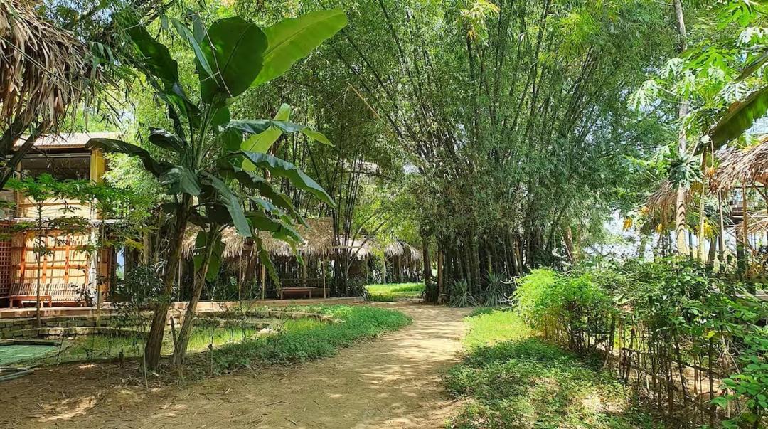 Photo of Others in Hoi An