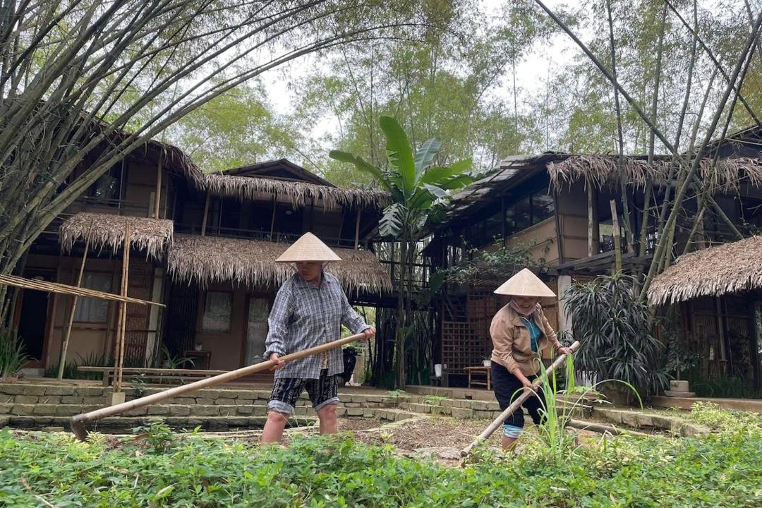 Photo of Others in Hoi An