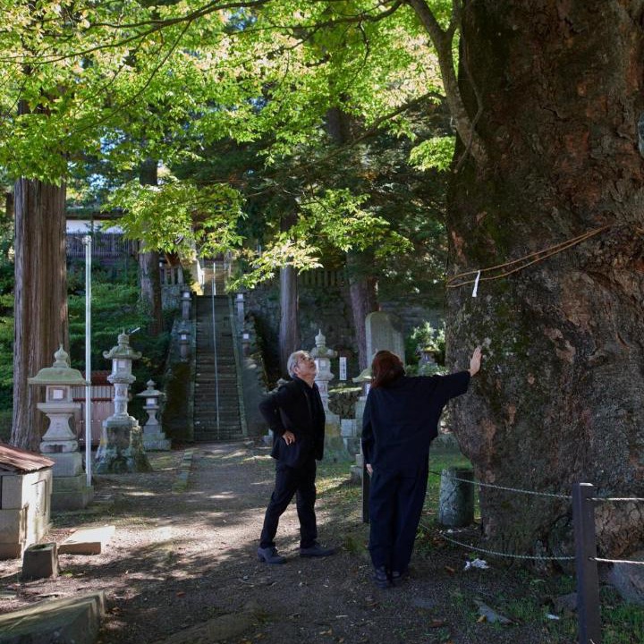 Photo of Others in Saku