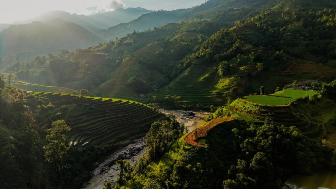 Photo of Others in Hoang Su Phi