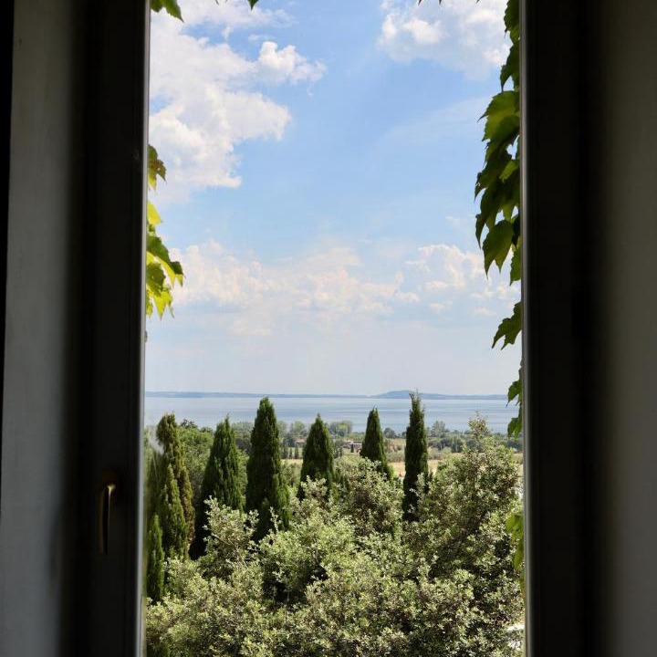 Photo of Others in Bolsena