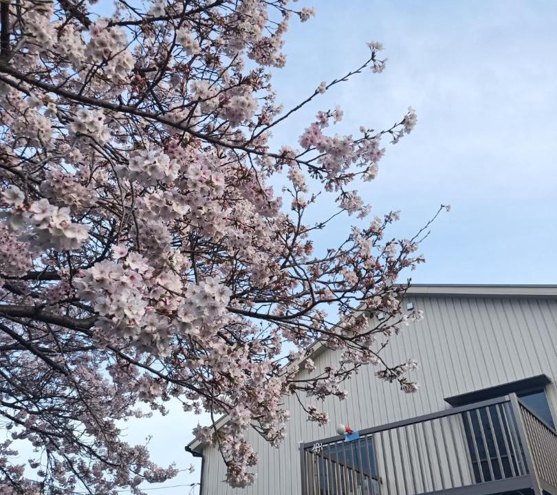 Photo of Others in Kozai-kita Machi