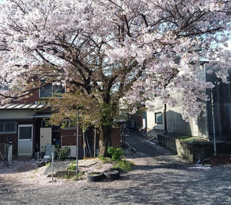 Photo of Others in Kozai-kita Machi