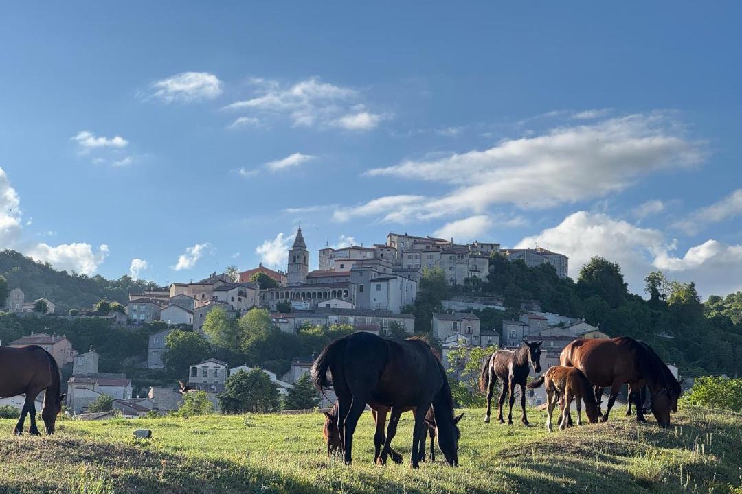 Photo of Buildings in Montenero Val Cocchiara