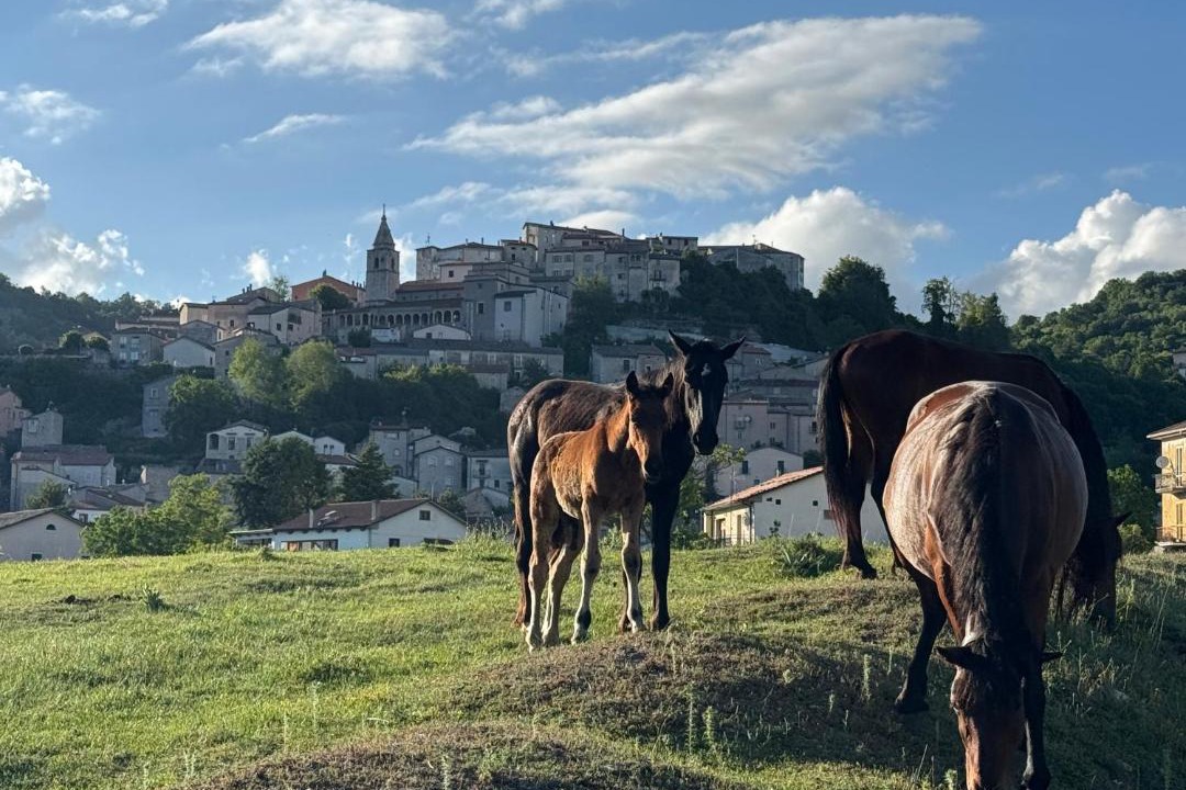 Photo of Others in Montenero Val Cocchiara