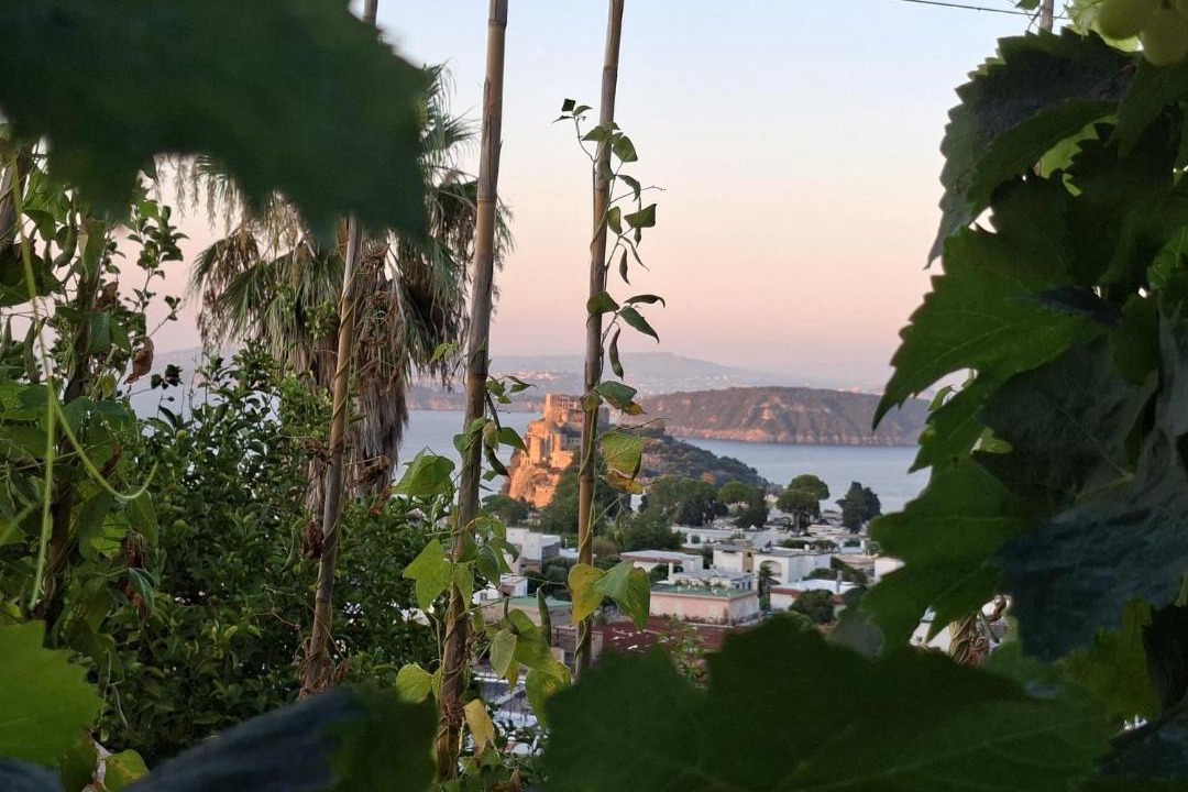 Photo of Others in Ischia Porto