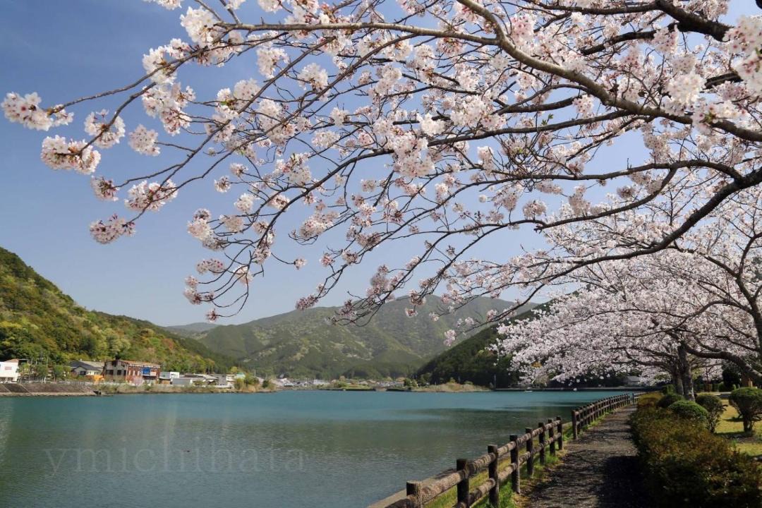 Photo of Others in Kihoku