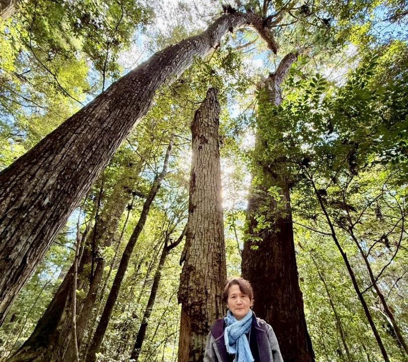 Photo of Others in Kihoku