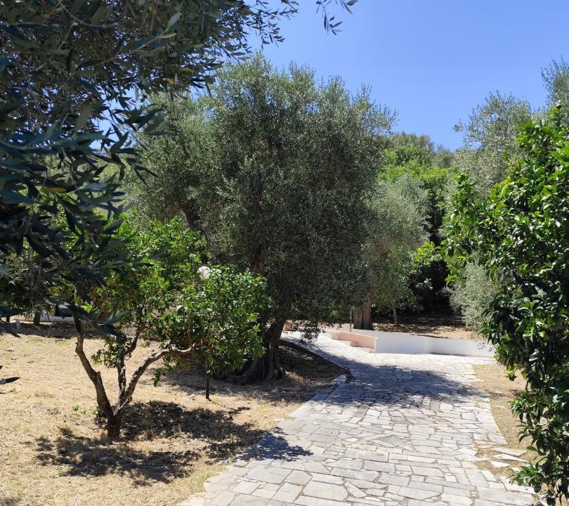 Photo of Others in Vico del Gargano