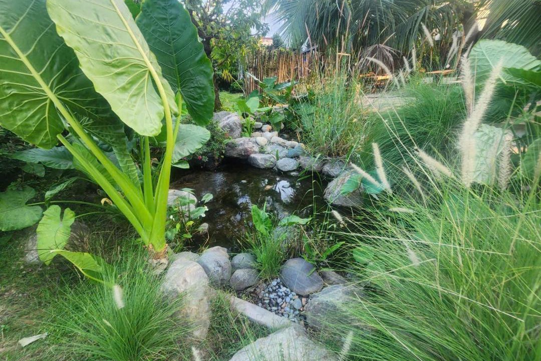 Photo of Outdoor in Phu My