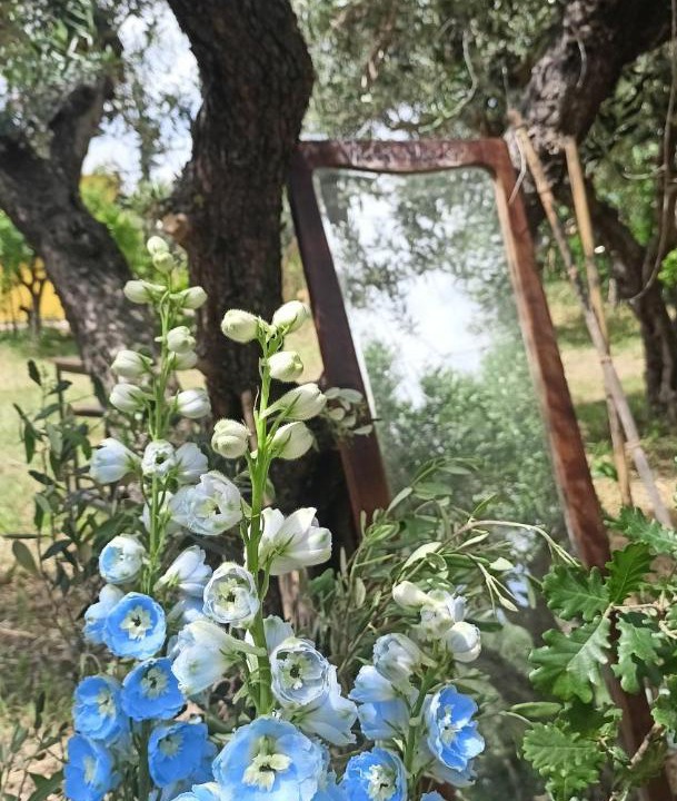 Photo of Others in Rosciano