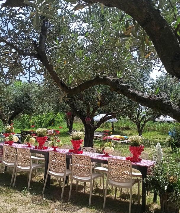 Photo of Others in Rosciano