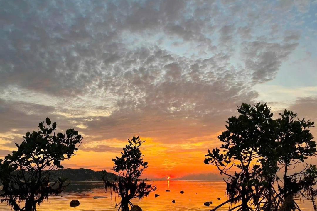 Photo of Others in Ninh Hai