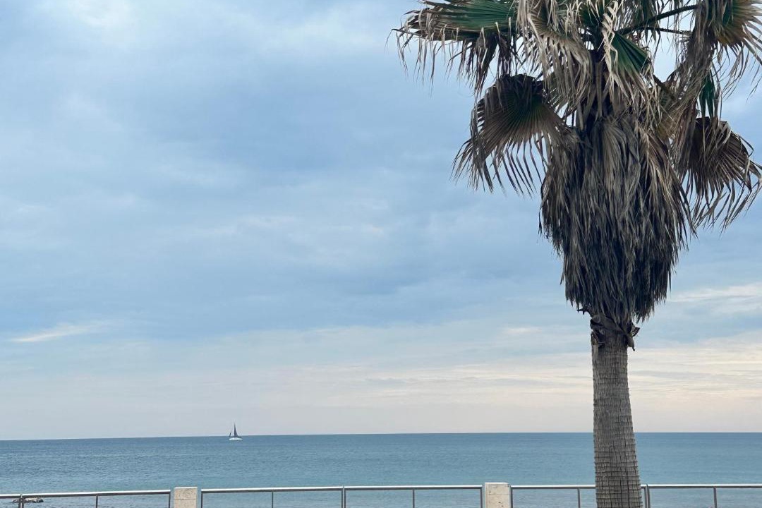 Photo of Others in Quartiere XXXIII Lido di Ostia Ponente
