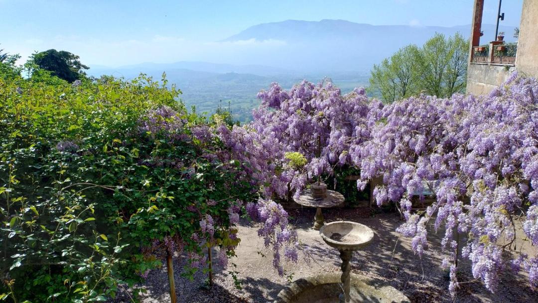 Photo of Others in Anagni