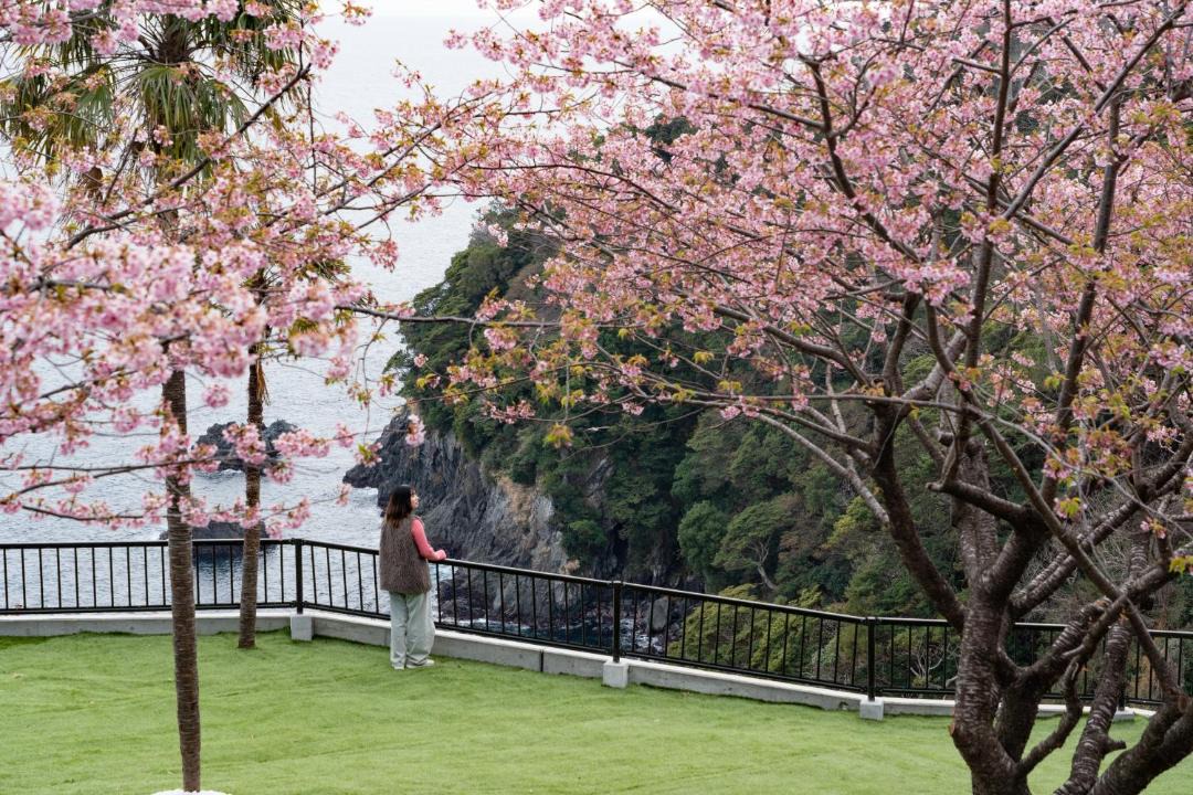 Photo of Others in Kawazu